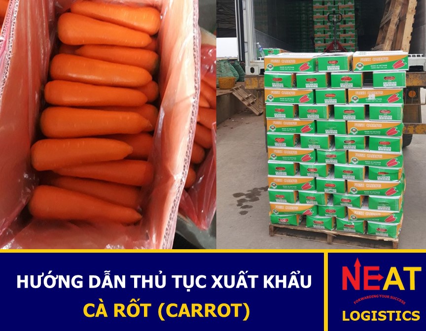 HƯỚNG DẪN THỦ TỤC XUẤT KHẨU CÀ RỐT (CARROT) RA THỊ TRƯỜNG THẾ GIỚI