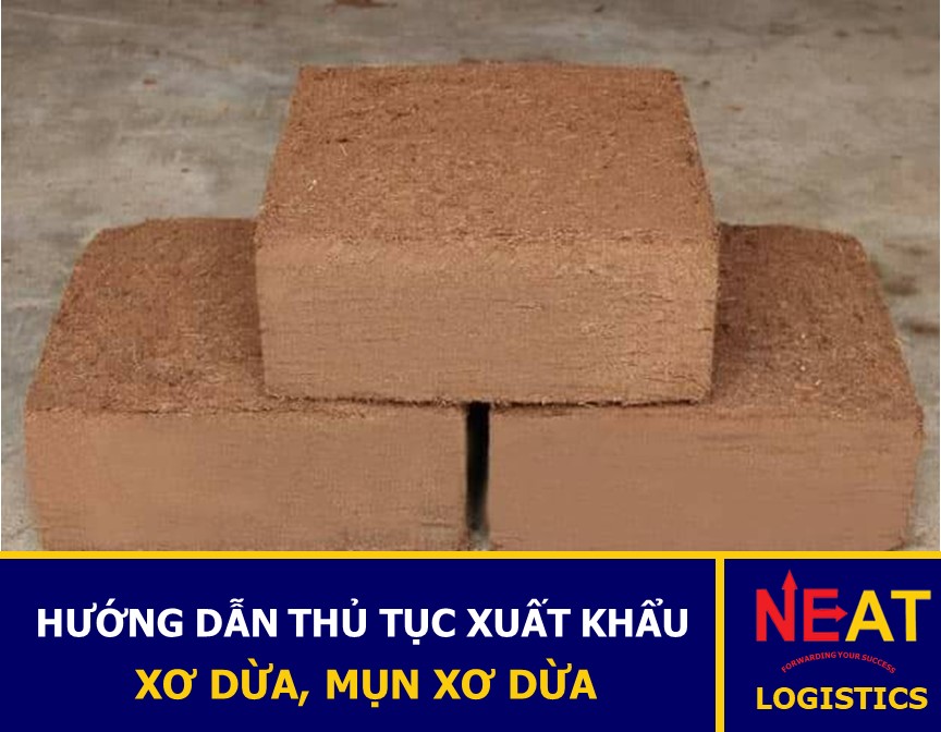 HƯỚNG DẪN THỦ TỤC XUẤT KHẨU XƠ DỪA, MỤN XƠ DỪA