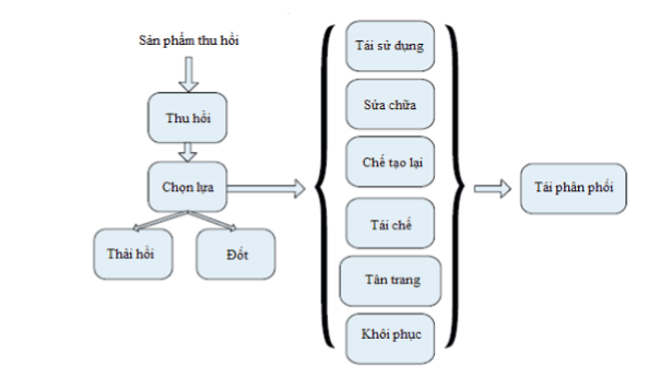 Quy Trình Logistics Ngược